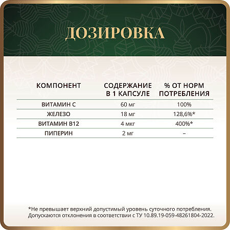 Спайс Актив/Spice Active Легкодоступное железо с витаминами С, В12 и пиперином / Gentle Iron with Vitamin C, B12 + Piperine капсулы по 0,27 г 60 шт