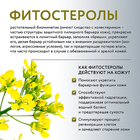 Доктор Си/Dr.Sea Крем для тела с фитостеролами и ресвератролом детокс и лифтинг 200 мл 1 шт