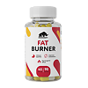 Жиросжигатель Fat Burner Prime Kraft капсулы массой 870 мг 90 шт