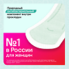 Kotex Прокладки Bio-Care ежедневные длинные 18 шт