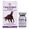 Гиалувит Хондро раствор для инъекций фл 6 мл ВЕТЕРИНАРНЫЙ 1 шт