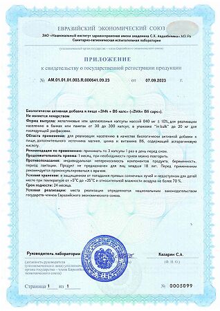 1WIN ЗМА + B6/ZMA+ B6 капсулы массой 840 мг 90 шт