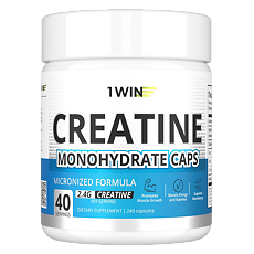 Купить 1WIN Креатина моногидрат / Creatinе monohydrate капсулы массой 510 мг 240 шт цена