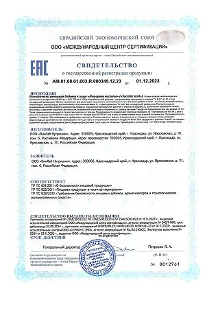 1WIN Янтарная кислота / Succinic acid капсулы массой 580 мг 60 шт