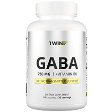 Купить 1WIN ГАМК + B6 / GABA + B6 капсулы массой 510 мг 60 шт цена