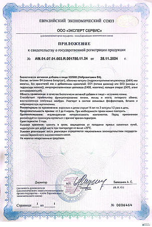 Турамин Холин (Нейровитамин В4) капсулы массой 0,73 г 60 шт