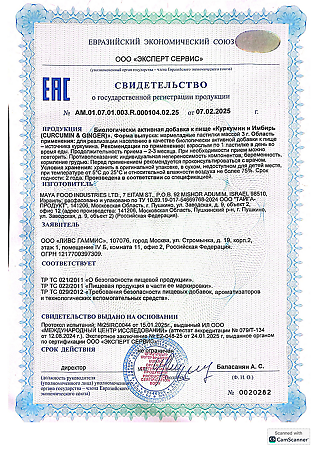 LIVS Куркумин и Имбирь / Curcumin & Ginger мармеладные пастилки массой 3,0 г 60 шт