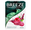 Breeze by Neotravisil растительные пастилки со вкусом малины пастилки массой 2,5 г 12 шт