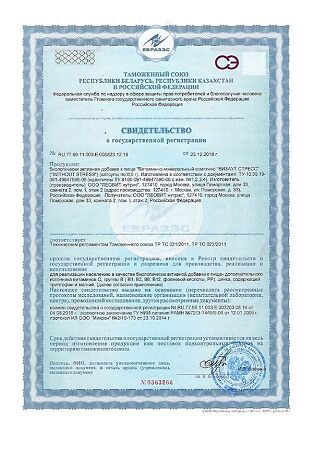 Леовит Витаминно-минеральный комплекс Визаут Стресс / Without Stress капсулы по 0,5 г банка 60 шт