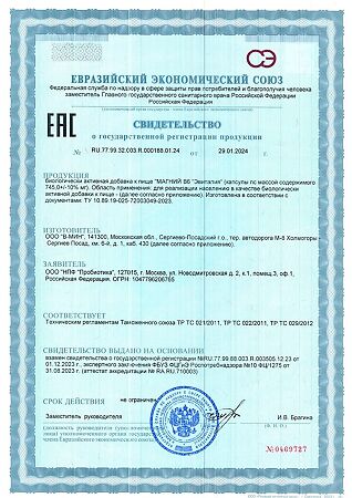 Магний+В6 Эвиталия капсулы массой 745 мг 60 шт
