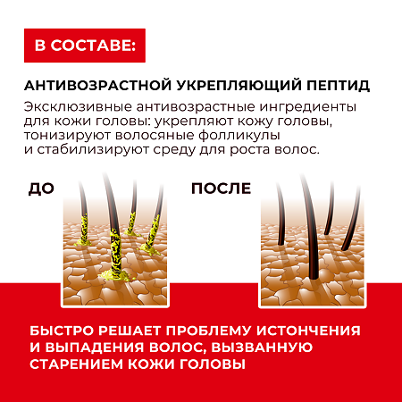 KANS Шампунь для жирных волос и кожи головы calp Oil-controlling Shampoo 500 г 1 шт