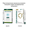 Пикамилон раствор для в/в и в/м введ.100 мг/мл 2 мл 10 шт